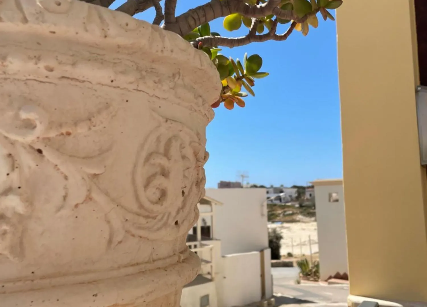 Le Case Di Nunzia Lampedusa İtalya